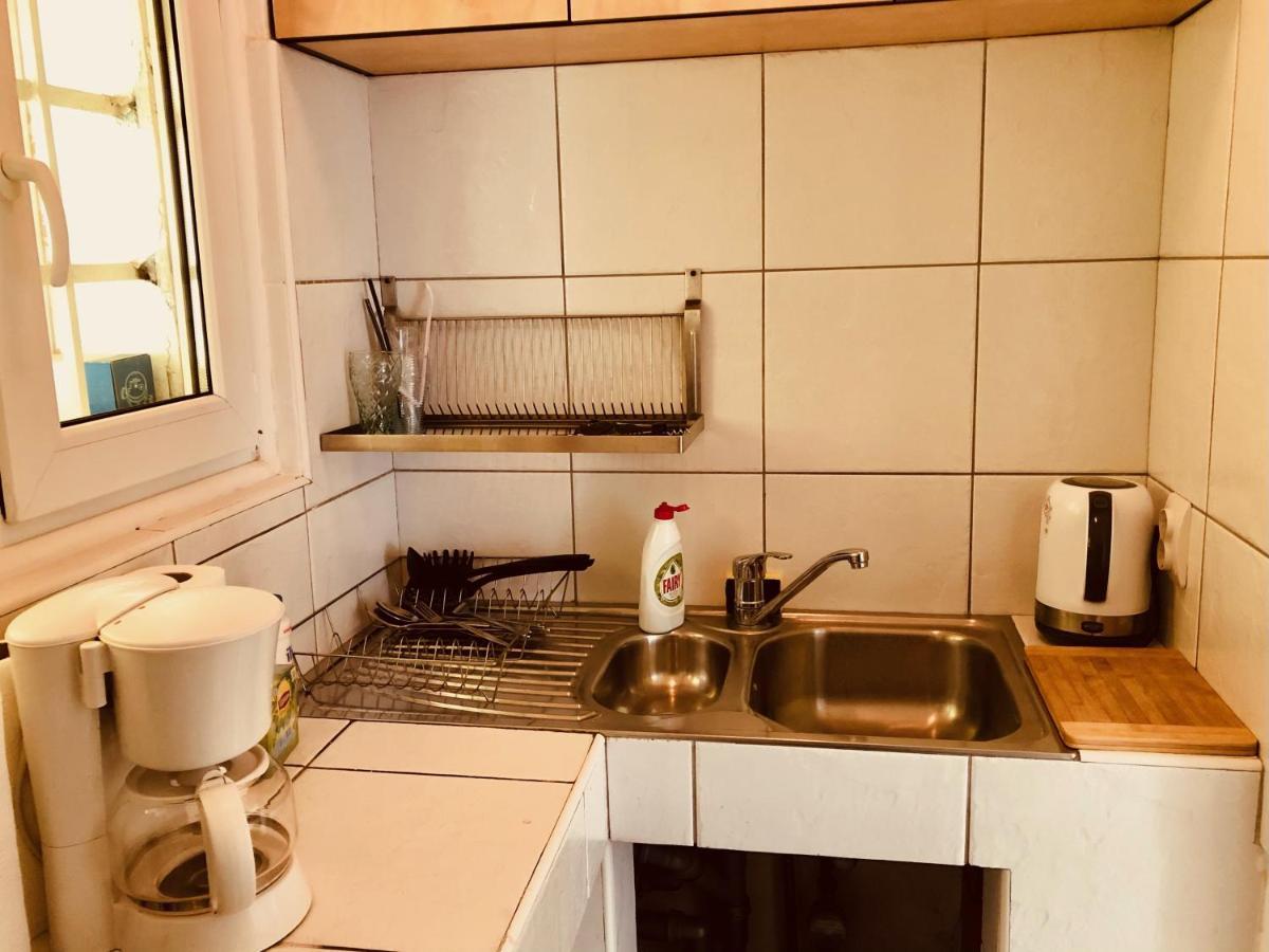 Ultra-Central Apartment Just In Union Squere Timişoara Eksteriør bilde